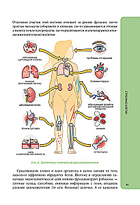 Anatomy for Schoolchildren. A Guide for Students of Chemical-Biological Classes and Applicants for Natural Science Directions