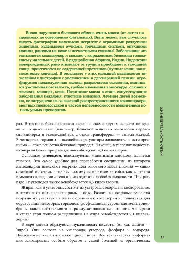 Anatomy for Schoolchildren. A Guide for Students of Chemical-Biological Classes and Applicants for Natural Science Directions