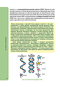 Anatomy for Schoolchildren. A Guide for Students of Chemical-Biological Classes and Applicants for Natural Science Directions