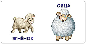 Книжки - картонки. Малыши и мамы