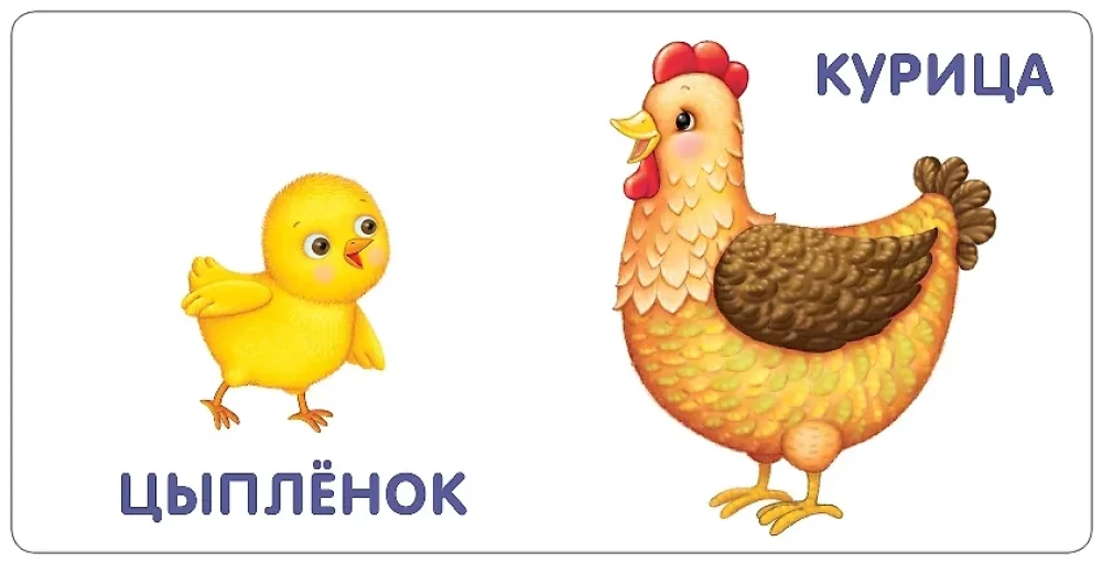 Книжки - картонки. Малыши и мамы