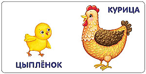 Книжки - картонки. Малыши и мамы