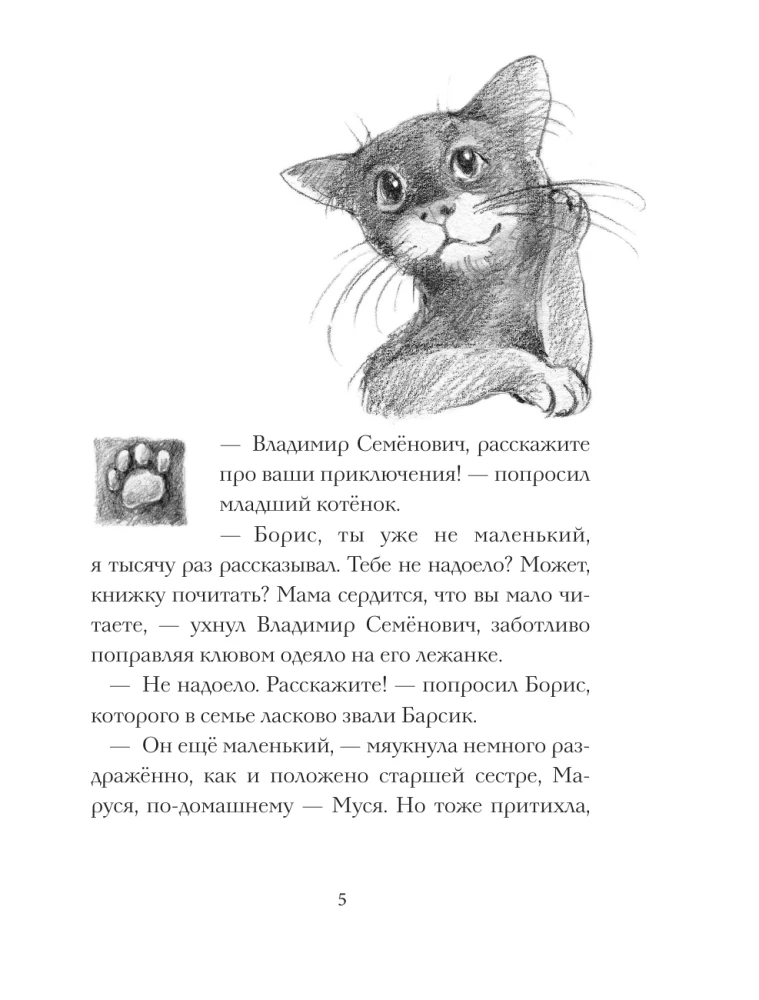 Die Katze Tikhon auf der Suche nach einer Stadt mit dem Buchstaben E