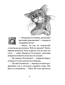 Die Katze Tikhon auf der Suche nach einer Stadt mit dem Buchstaben E