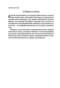 About Cat Health. From a Veterinarian in Love with His Work