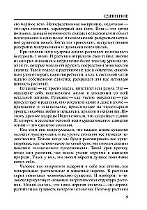 Joga przypraw