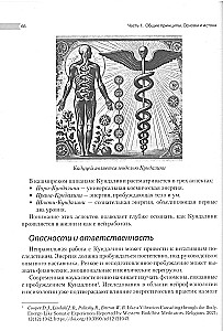 Encyklopedia czakr. Praktyki dla psychologów, ekspertów i duchowych poszukiwaczy