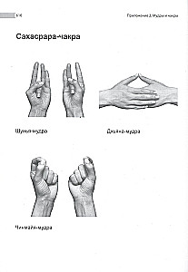 Encyklopedia czakr. Praktyki dla psychologów, ekspertów i duchowych poszukiwaczy