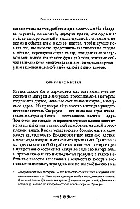 Tajemnice narodzin, miłości i śmierci. Okultyzm dla początkujących