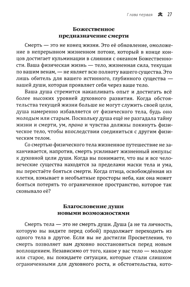 Mirtis ir reinkarnacija. Mistinė sielos kelionė