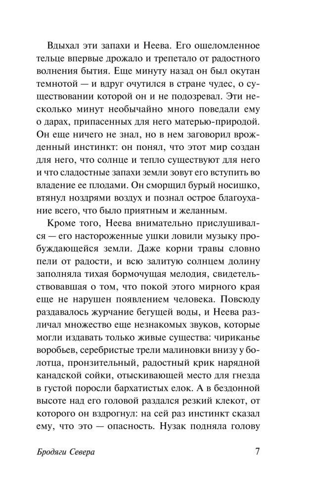 Wanderer des Nordens. Kazan