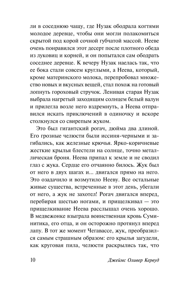 Wanderer des Nordens. Kazan