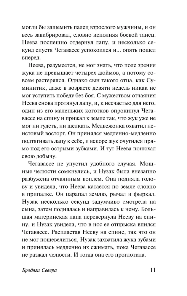 Wanderer des Nordens. Kazan