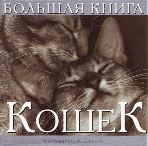 Wielka książka o kotach