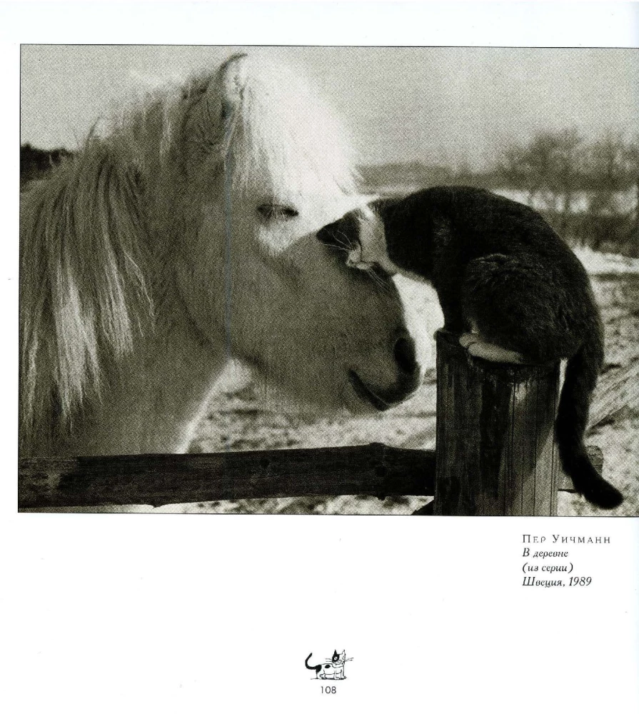 Wielka książka o kotach