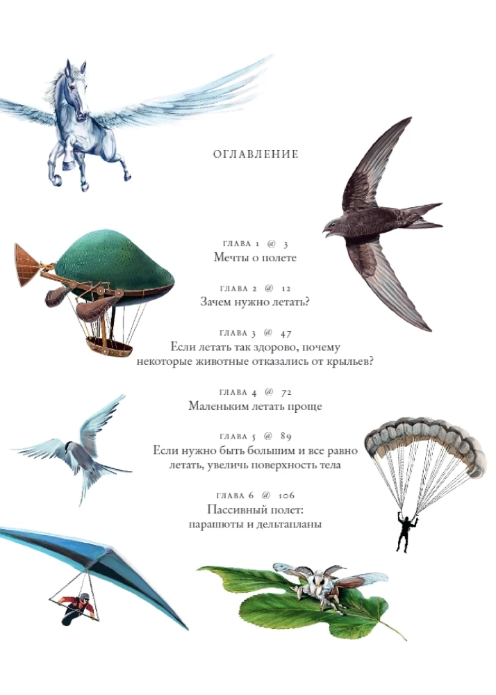 Flights of Imagination