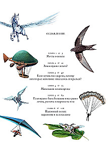 Flights of Imagination