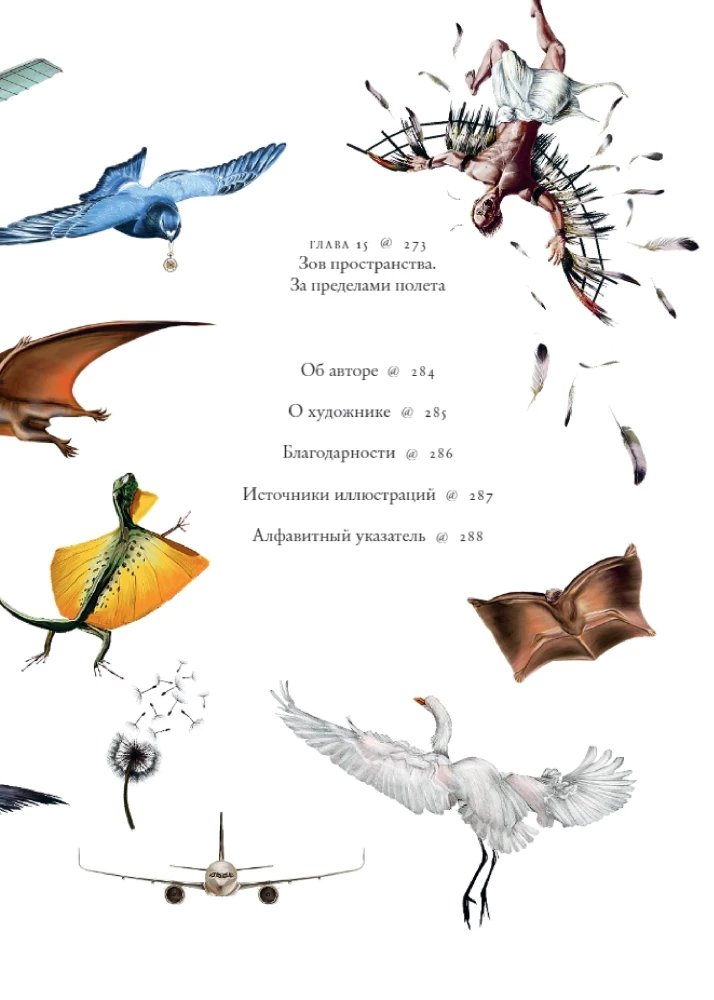 Flights of Imagination