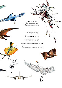 Flights of Imagination