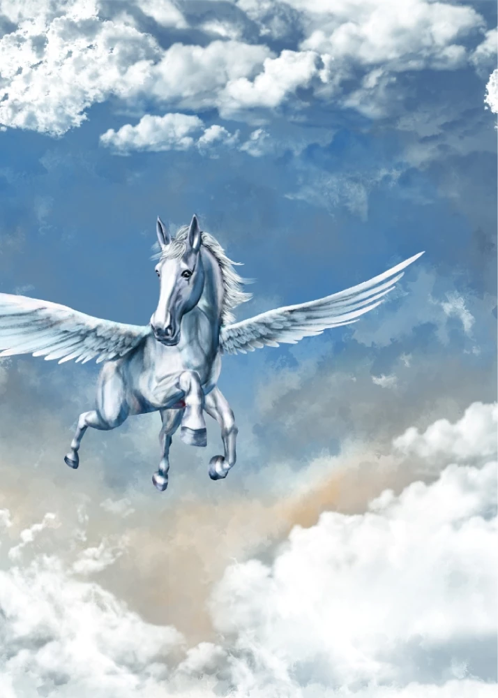 Flights of Imagination