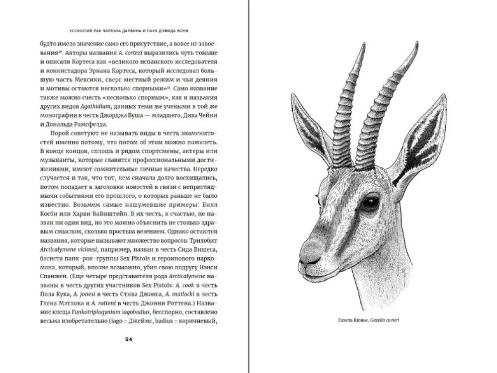 Usnogi rak Charlesa Darwina i pająk Davida Bowiego: Jak nazwy naukowe wychwalają bohaterów, awanturników i łotrów