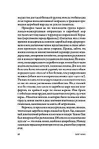 Rund um die Welt. Geschichte und Geographie der jenseitigen Welt