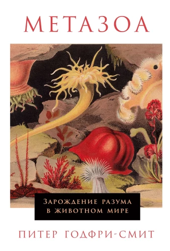 Metazoa. Prāta rašanās dzīvnieku pasaulē