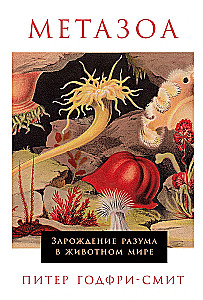 Metazoa. Protas atsiradimas gyvūnų pasaulyje