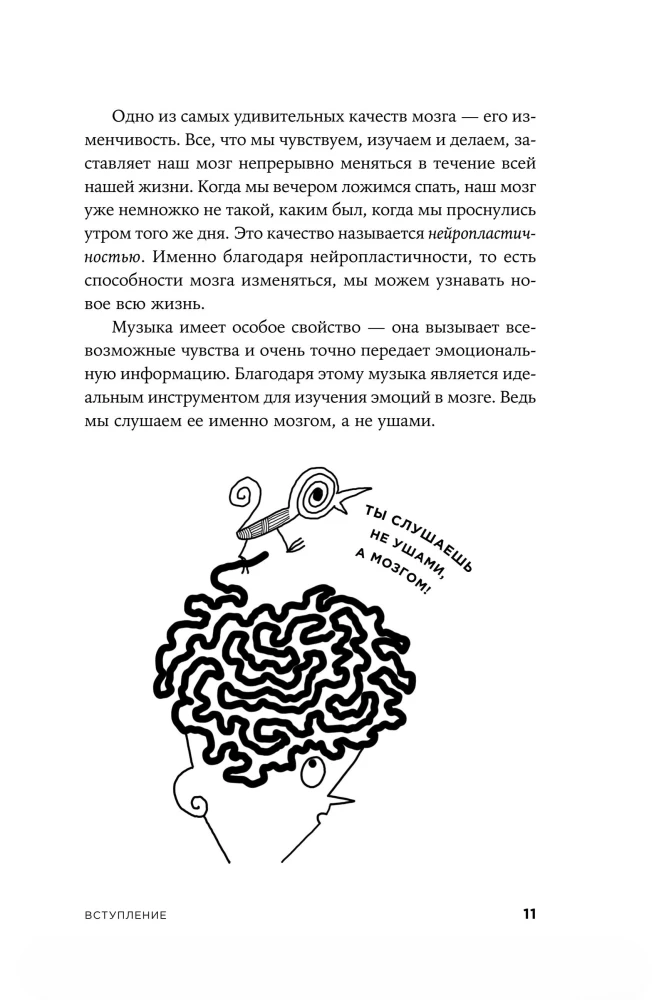 Musik und Gehirn. Wie Musik Emotionen, Gesundheit und Intelligenz beeinflusst
