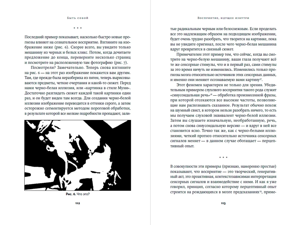 Sei du selbst: Neue Theorie des Bewusstseins