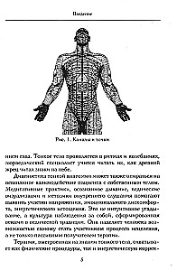 Ayurveda and the Subtle Anatomy of Man. The Path to Harmony and Health through the Study of Invisible Structures of the Org