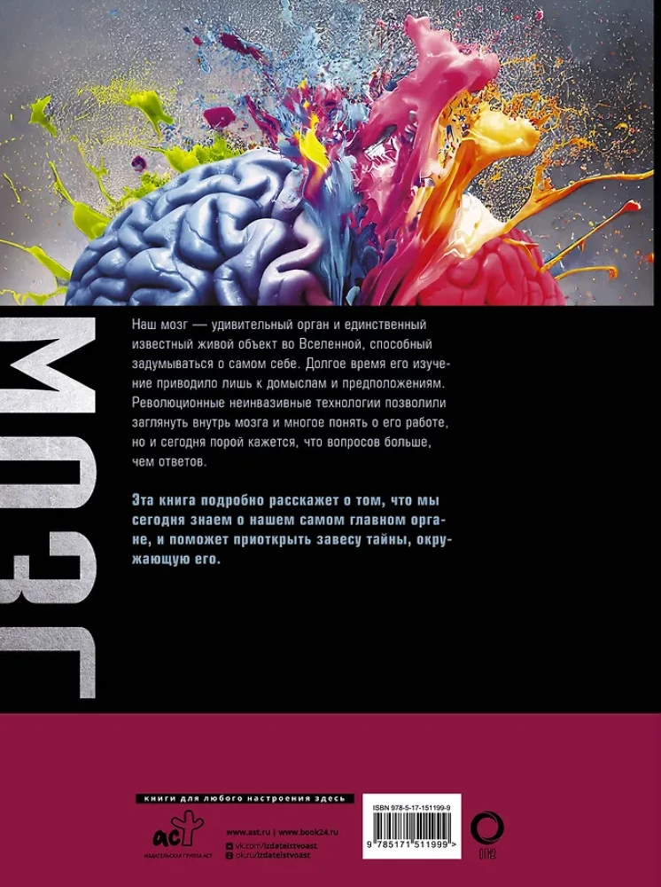Brain. The Big Encyclopedia