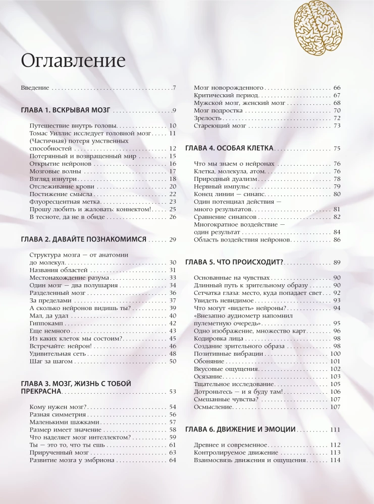 Brain. The Big Encyclopedia