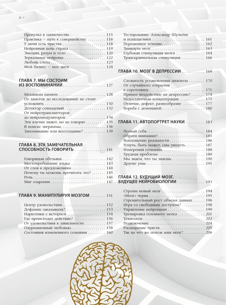Brain. The Big Encyclopedia