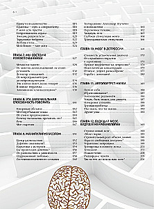 Brain. The Big Encyclopedia