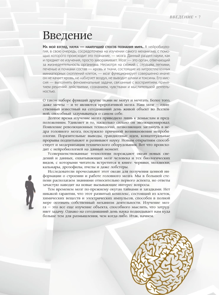 Brain. The Big Encyclopedia