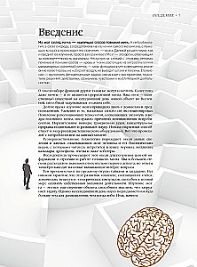Brain. The Big Encyclopedia