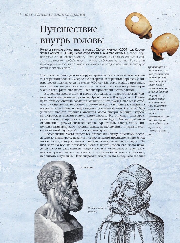 Brain. The Big Encyclopedia