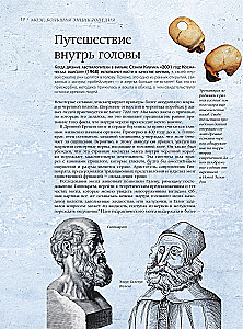 Brain. The Big Encyclopedia