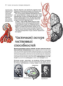 Brain. The Big Encyclopedia
