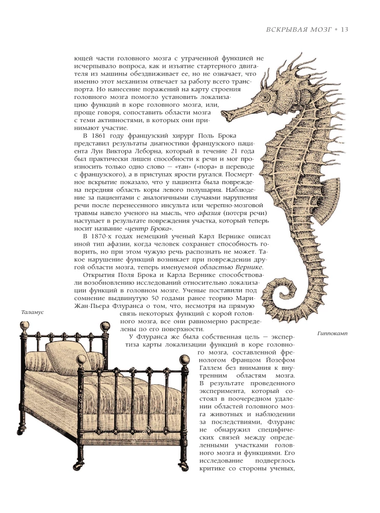 Brain. The Big Encyclopedia