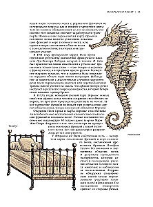 Brain. The Big Encyclopedia