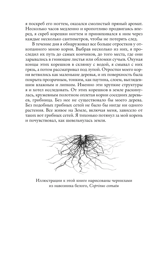 A Tangled Life. How Mushrooms Change the World, Our Consciousness, and Our Future