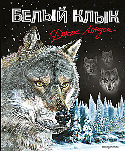 Biały kieł