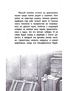 Szczęście za drzwiami