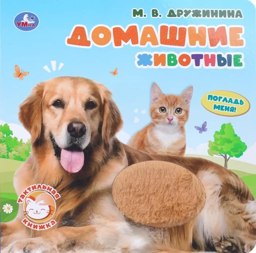 Zwierzęta domowe