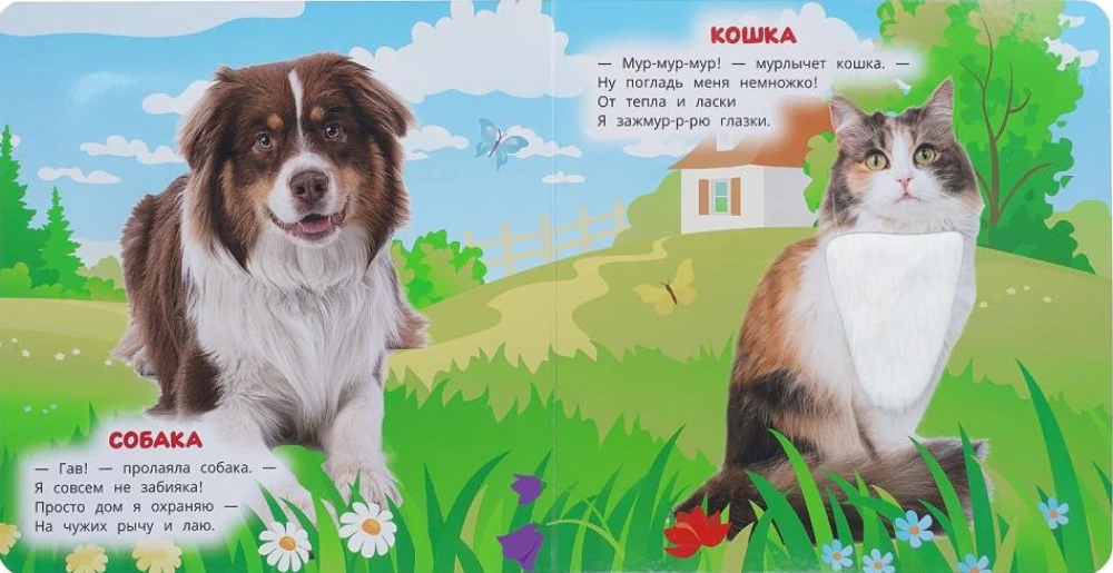 Zwierzęta domowe