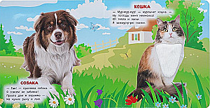 Zwierzęta domowe
