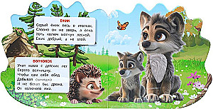 Leśne mieszkańcy