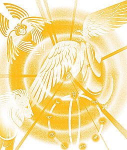 About Angels